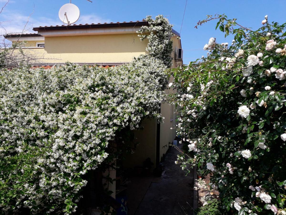 Apartment Samanta Sisan Exterior foto